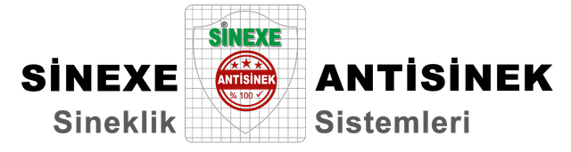 Sinexe Antisinek